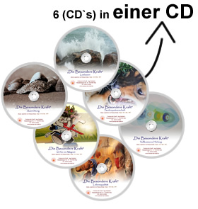 Heilungsmeditationen1 MP3-CD 2