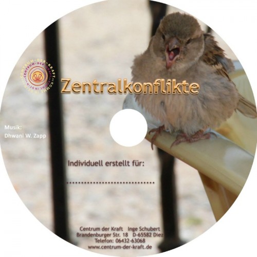 Zentralkonflikte MP3-CD