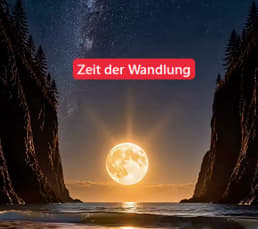 zeit-der-wandlung